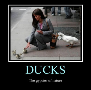 Epic Fail Motivational Poster Ducks motivational poster by