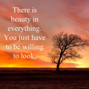 for forums: [url=http://www.quotes99.com/there-is-beauty-in-everything ...