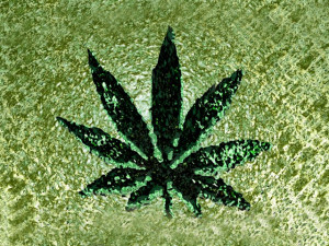 Pothead G1 Wallpaper