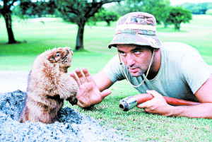 Bill Murray Caddyshack Gopher