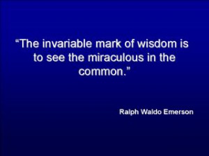 Don't Follow The Crowd #crowd #live #quote #lifequotes #lifequote # ...
