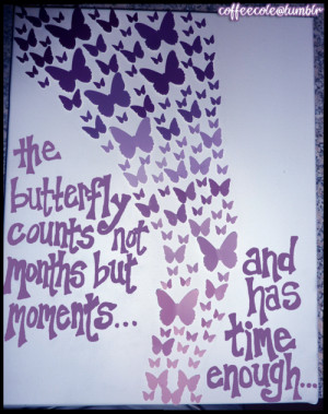 Butterfly Quotes Tumblr