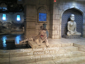 Tiger Temple Water Sacred Pamela Quote