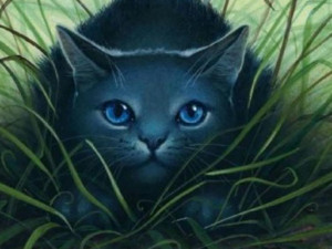 Warrior Cats of PantherClan!