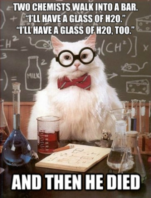 Chemistry Cat – No other feline has done so much to inspire people ...