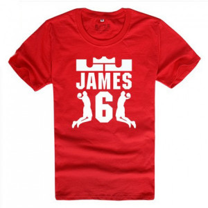 2013 NBA Champion Miami Heat Lebron James 6 Dunk logo t shirt