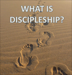 ... training discipleship discipleship lessons new christians quotes