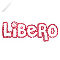 Beach Volleyball Wall Decals