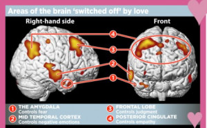... in love: What happens in your brain when you really do have chemistry