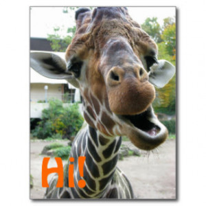 Funny Giraffe Sayings Gifts and Gift Ideas