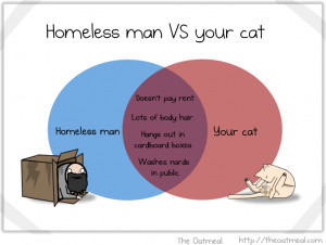 Homeless man vs. Cat