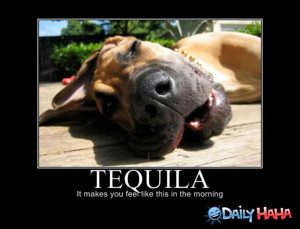 Funny Tequila Quotes
