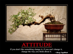Attitude If you don't like something change it; if you can't change it ...