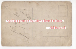 Top 10 Phenomenal ‘ May 2015 ’ Quotes, Free Images Download For ...