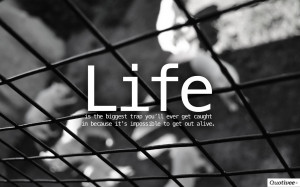 Life Is The Biggest Trap