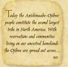 Ojibwe: About Anishinaabe nativ american, nativ pride, ojibwa tribe