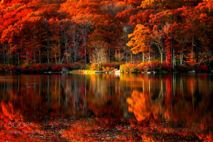 autumn reflections by nathan brisk on 500px.com