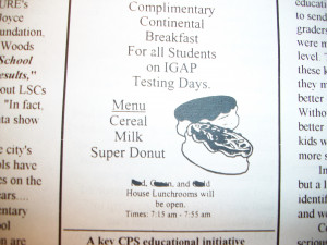 doughnut flyer