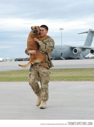 Funny photos soldier coming home war dog