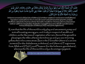 Holy Quran Quran!