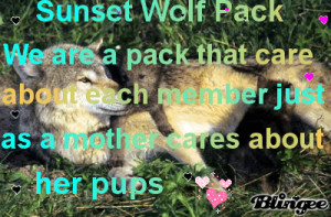 Sunset Wolf Pack quote 2