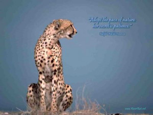 Wallpaper Quotes~~~~~ 114