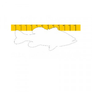 Size Doesn’t Matter Quotes, Shirts and a Funny Story