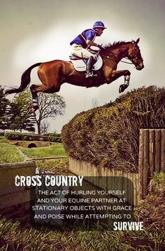 Cross Country: The act of hurling yourself and your equine partner at ...