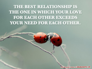 The Best Relationship is The One in Which Your Love For Each Other ...