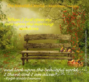 waldo emerson quote the beautiful world bench in a magical landscape