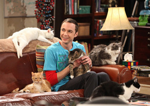 The Big Bang Theory: A CAT-astrophic break-up