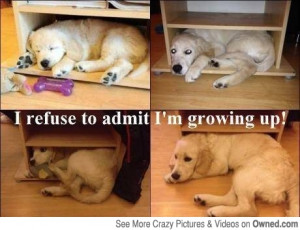 refuse to admit I'm growing up
