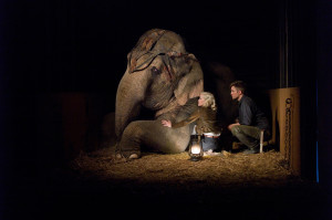 Water for Elephants new HQ WFE stills