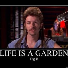 joe dirt more dust jackets funny shit joe dirt quotes movie quotes ...