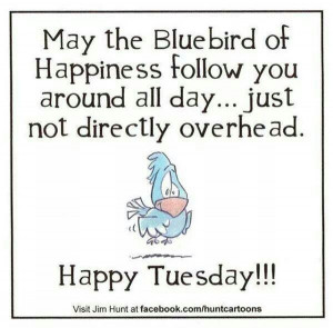 May the bluebird of happiness. ..