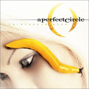 perfect circle - 13th step