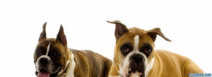 dogs-facebook-cover-timeline-banner-for-fb.jpg