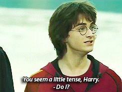Harry also loves asking sassy rhetorical questions