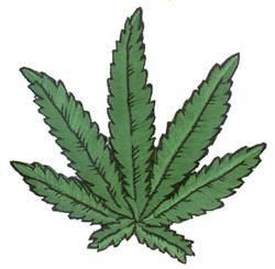 Medical Marijuana Leaf Eating A Tattoo Girls Smoking Weed Quotes ...
