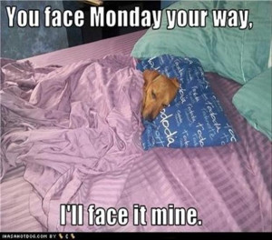 Funny “I Hate Monday” Pictures – 22 Pics