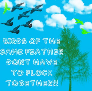Birds-of-the-same-feather.jpg