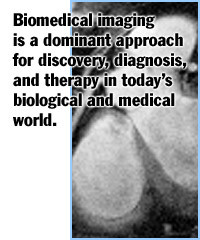 Biomedical & Molecular Imaging