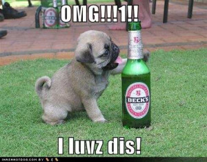 ... dog-pictures-pug-loves-beer_drunk_animals_drinking_beer_dogs_cats.jpg