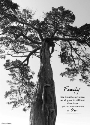 Black and White Nature Photo Print 