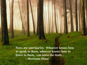 ... speak to them, whoever knows how to listen to them…