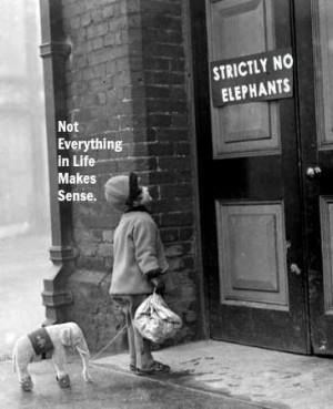 Zen to Zany on Facebook