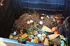 Soil Building For Raised Bed Gardens | Greenland Garden Raised Bed ...