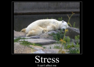 Quotes Free Funny Stress. QuotesGram