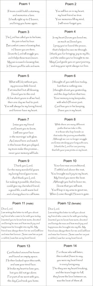 Pet Loss Poems For Rabbits