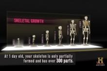 Quotes from the Jamestown Settlers during the harsh winter of 1609 ...